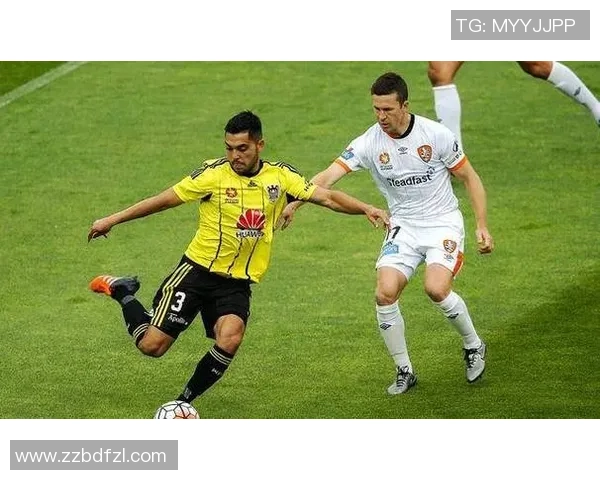 沃特福德对南安普顿比赛分析与推荐策略分享 沃特福德对南安普顿比赛分析与推荐策略分享