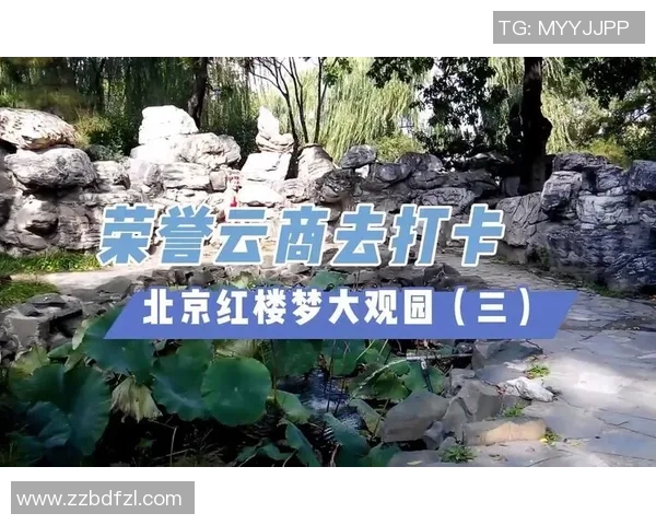 上海哔哩哔哩与天津滨海云商的竞争与合作新篇章探讨
